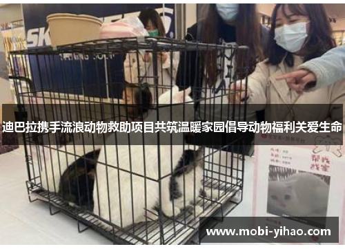 迪巴拉携手流浪动物救助项目共筑温暖家园倡导动物福利关爱生命