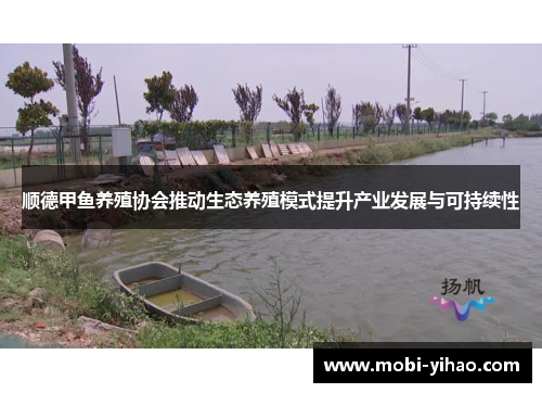顺德甲鱼养殖协会推动生态养殖模式提升产业发展与可持续性