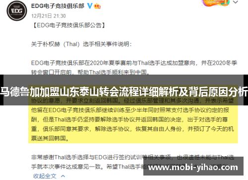 马德鲁加加盟山东泰山转会流程详细解析及背后原因分析