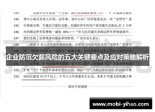 企业防范欠薪风险的五大关键要点及应对策略解析