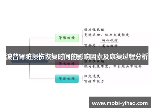 波普肾脏损伤恢复时间的影响因素及康复过程分析