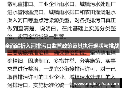 全面解析入河排污口监管政策及其执行现状与挑战