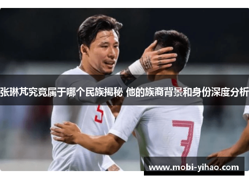 张琳芃究竟属于哪个民族揭秘 他的族裔背景和身份深度分析