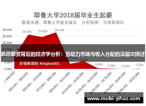 凯恩薪资背后的经济学分析：劳动力市场与收入分配的深层次探讨